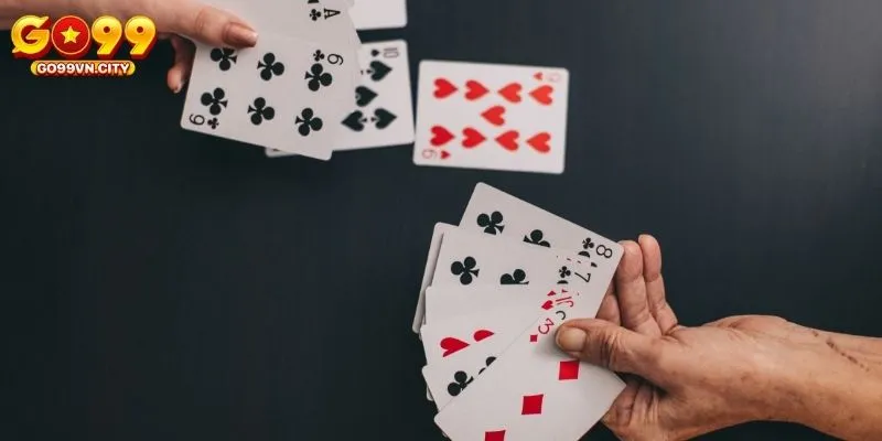 Khám phá tứ quý có chặt được đôi heo không?