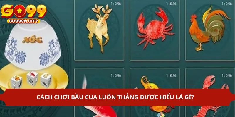 Một vài nét cơ bản